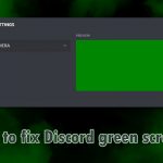 How to fix discord green screen