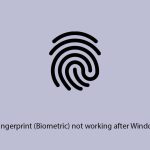 How to fix fingerprint biometric not working after windows update copy