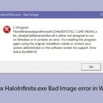 How to fix haloinfinite exe bad image error in windows copy