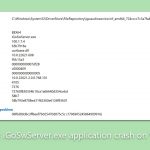 How to fix igoswserver exe application crash on windows