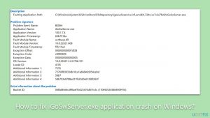 How to fix iGoSwServer.exe application crash on Windows?