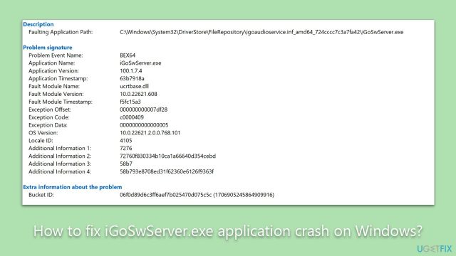 How to fix igoswserver exe application crash on windows