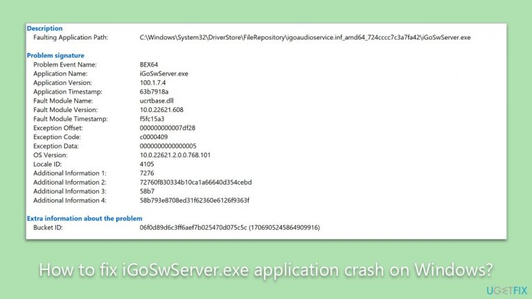 How to fix iGoSwServer.exe application crash on Windows?