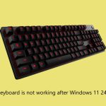 How to fix keyboard is not working after windows 11 24h2 update