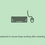 How to fix keyboard or mouse stops working after restarting windows