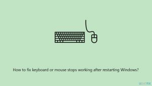How to fix keyboard or mouse stops working after restarting windows