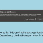 How to fix microsoft windows app runtime dynamicdependency lifetimemanager error in windows