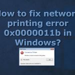 How to fix network printing error 0x0000011b in windows