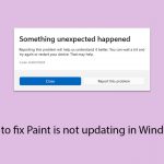 How to fix paint is not updating in windows copy