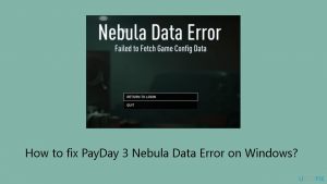 How to fix payday 3 nebula data error on windows