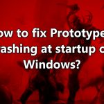 How to fix prototype 2 crashing at startup on windows