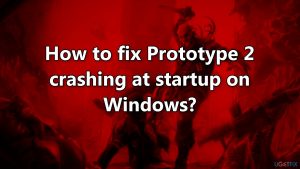 How to fix prototype 2 crashing at startup on windows