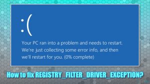 How to fix registry filter driver exception error
