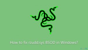 How to fix rzudd sys bsod in windows