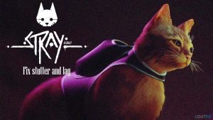 How to fix stray stuttering on pc
