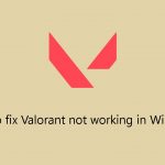 How to fix valorant not working in windows