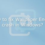 How to fix wallpaper engine crash in windows
