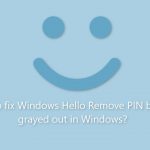How to fix windows hello remove pin button grayed out in windows