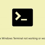 How to fix windows terminal not working or wont open copy