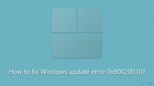 How to fix windows update error 0x80020010
