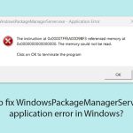 How to fix windowspackagemanagerserver exe application error in windows copy