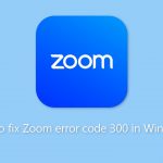 How to fix zoom error code 300 in windows