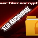 How to recover files encrypted by seto ransomware