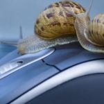 I need a piece of advice it seems that my pc gets sluggish so speed up your computer