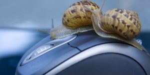I need a piece of advice it seems that my pc gets sluggish so speed up your computer