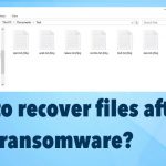 Jhbg ransomware recovery fix
