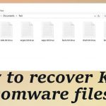 Kruu ransomware repair