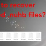 Nuhb ransomware file recovery