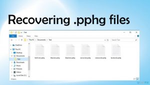Pphg ransomware file recovery