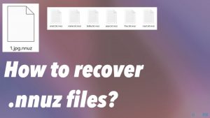 Recover nnuz ransomware files