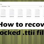 Recover ttii ranspmware files