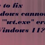 Terminal wt exe missing fix