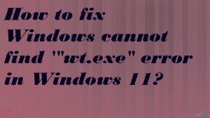Terminal wt exe missing fix