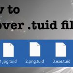 Tuid ransomware file recovery fix