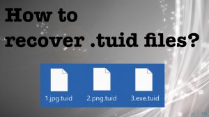 Tuid ransomware file recovery fix