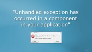 Unhandled exception has occurred in a component in your application