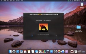 Waltr uninstall