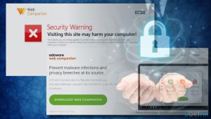 Web companion