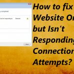 Website online not responding fix