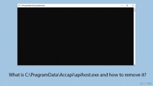 What is C:PragramDataAccapiapihost.exe and how to remove it?