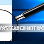Windows search not working problem