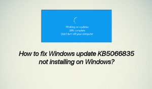 Windows update kb5066835 fix