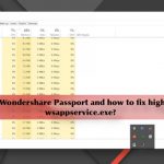 Wondershare passport