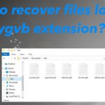 Ygvb ransomware file recovery