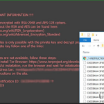 Zzzzz ransomware