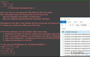 Zzzzz ransomware